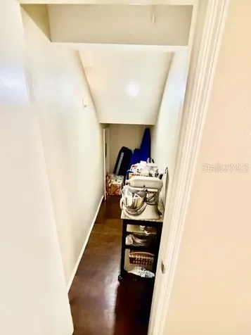 13020 Lorna Place Tampa FL 33618