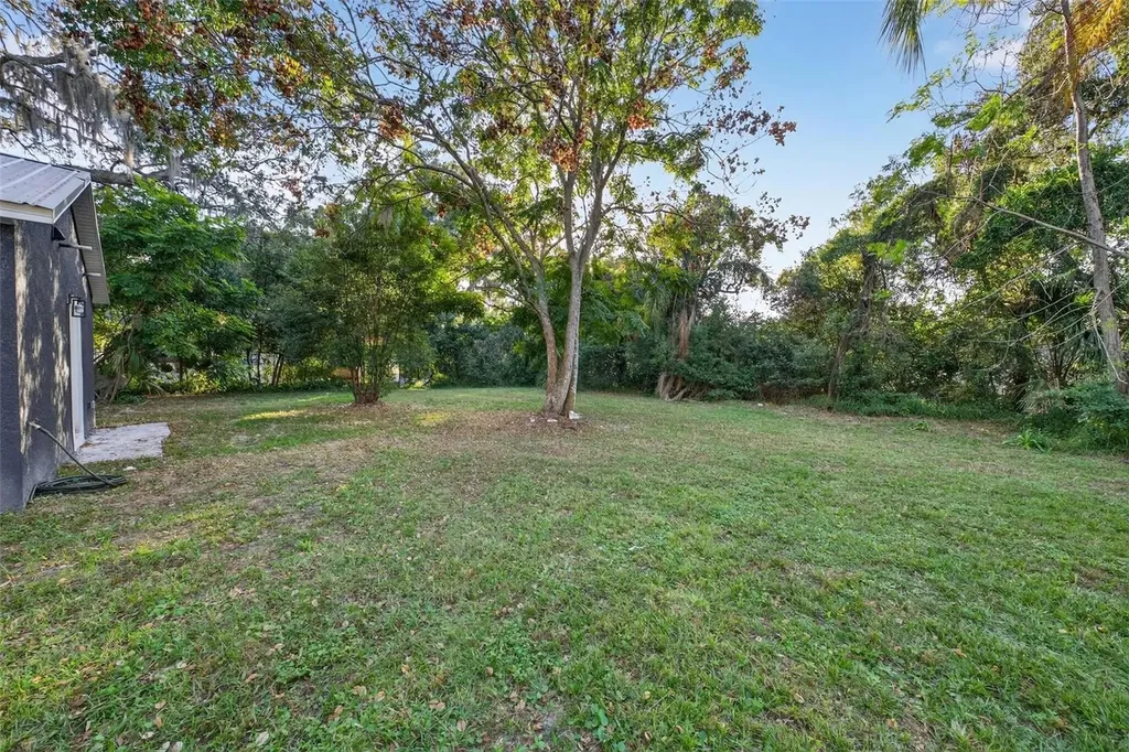 1503 Granite State Court Mount Dora FL 32757