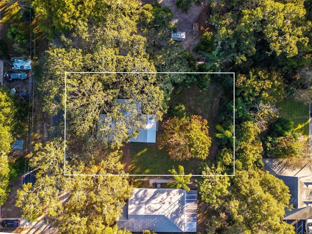 1503 Granite State Court Mount Dora FL 32757