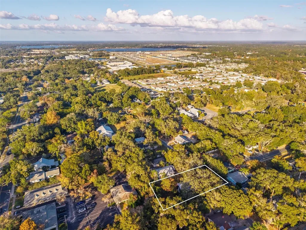 1503 Granite State Court Mount Dora FL 32757
