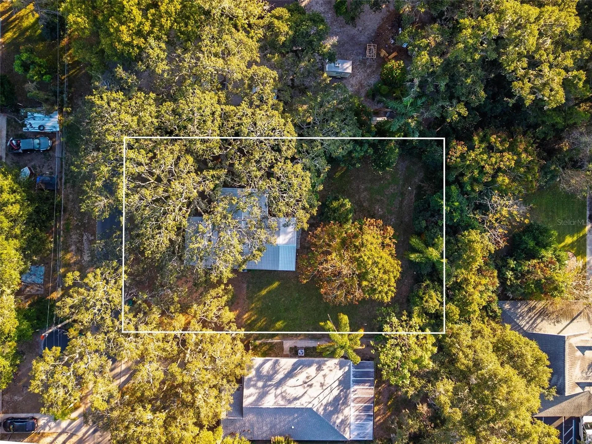 1503 Granite State Court Mount Dora FL 32757