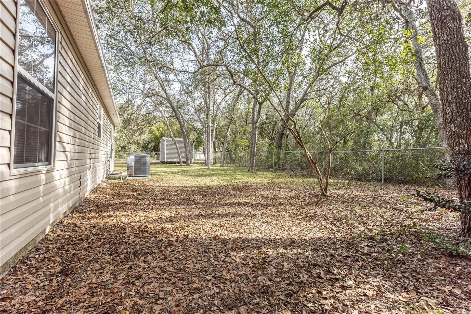 4438 Calamondin Street Lady Lake FL 32159
