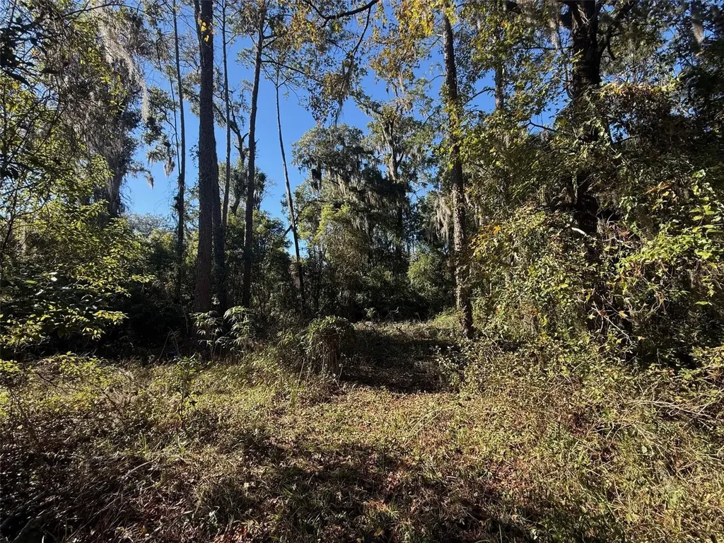 Tbd NW 12th Street Gainesville FL 32601