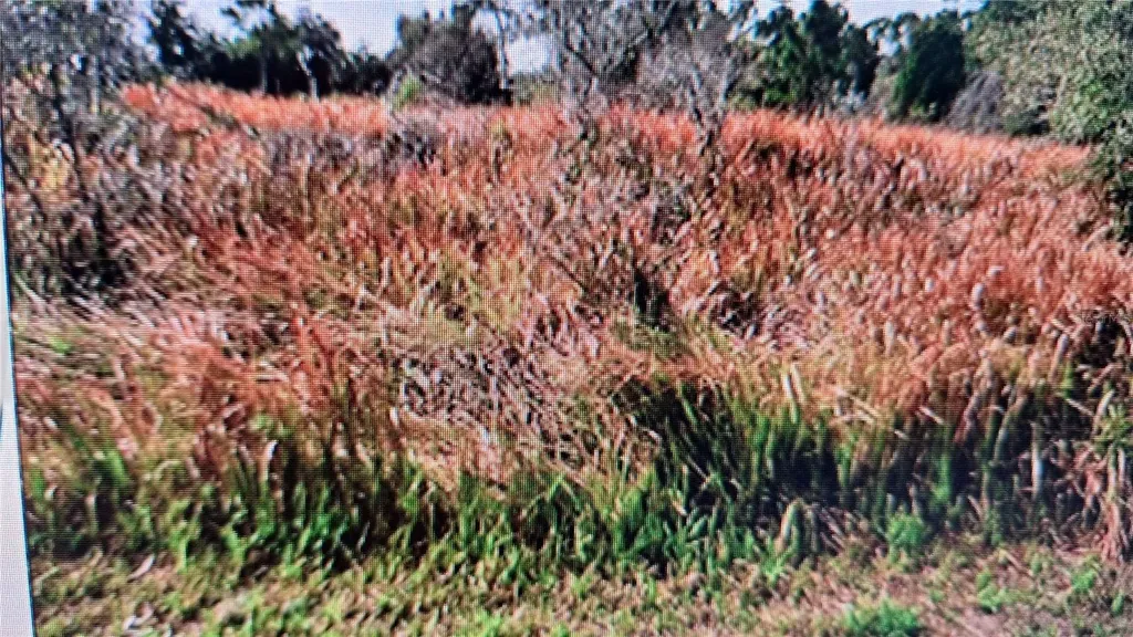 Jaylene Road North Port FL 34288