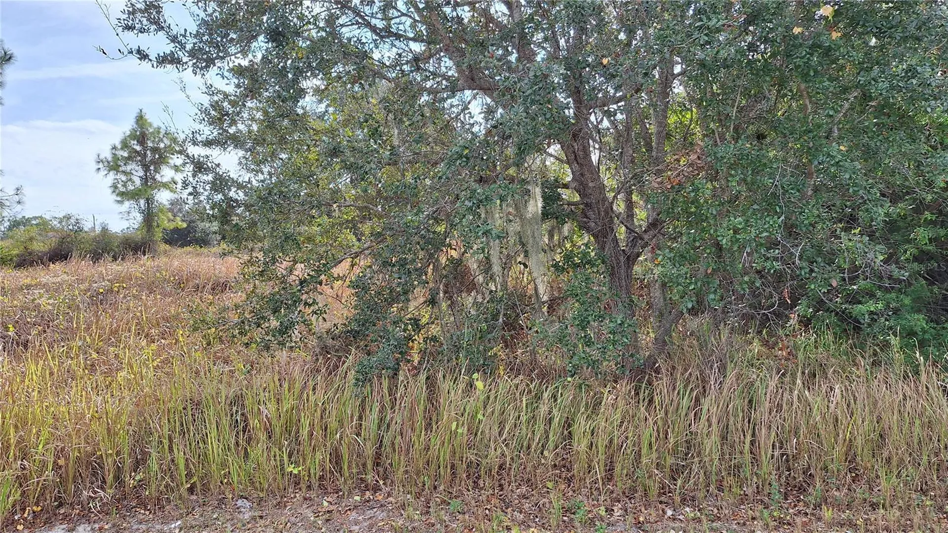 Jaylene Road North Port FL 34288