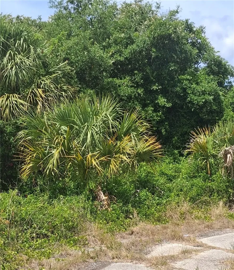 N Holloway Avenue North Port FL 34288