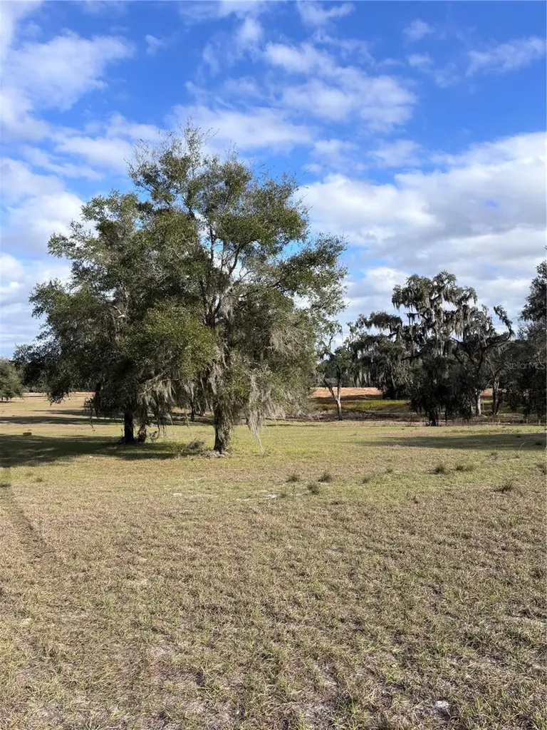 Tbd NW 127 Court Ocala FL 34482