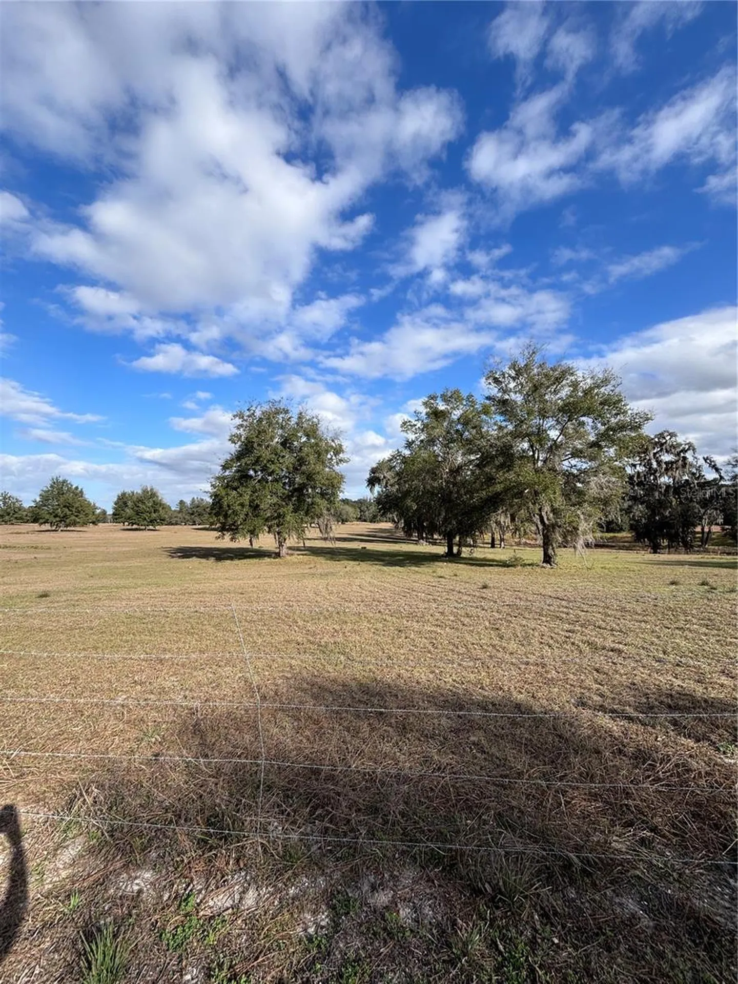 Tbd NW 127 Court Ocala FL 34482
