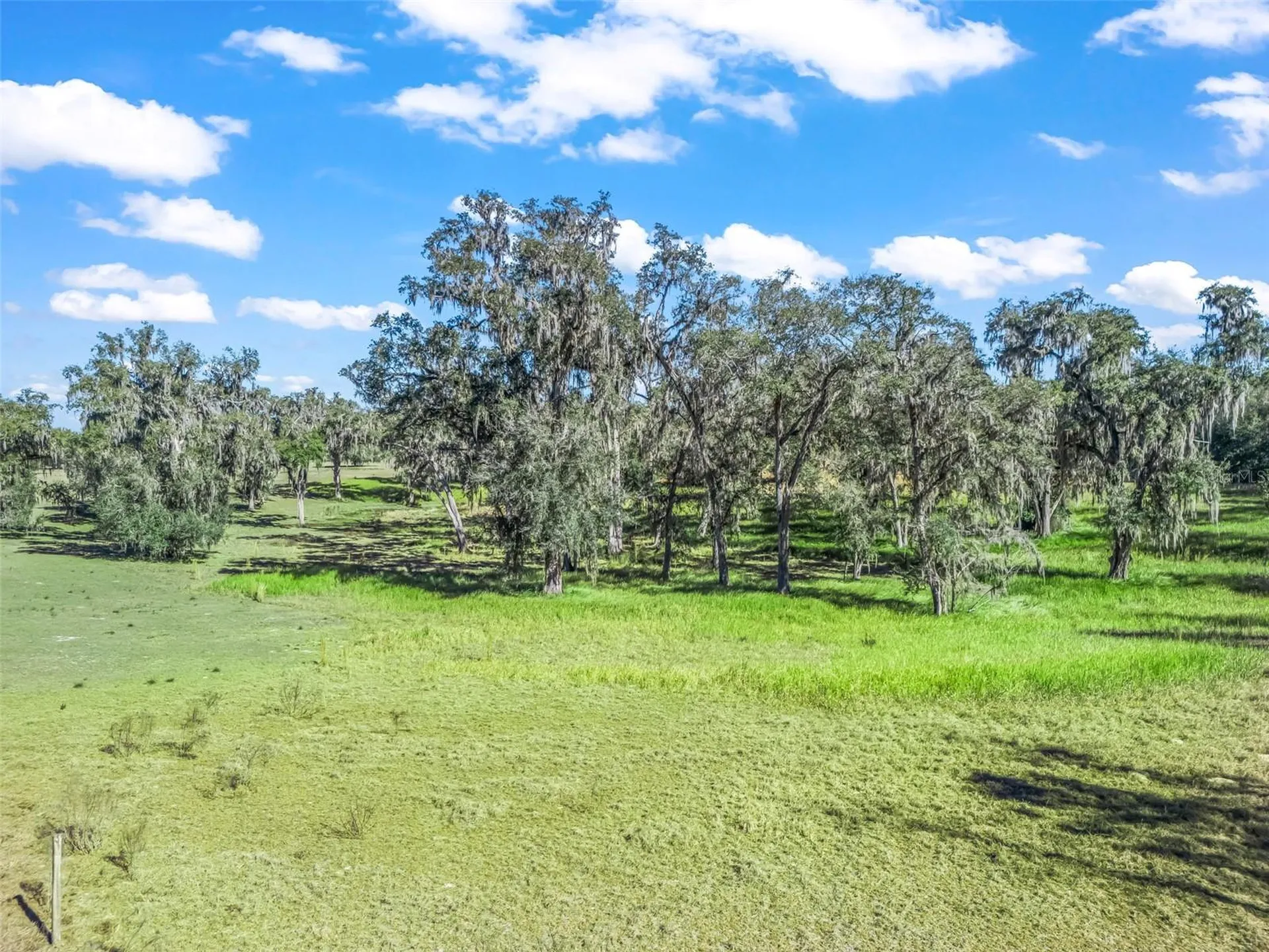 Tbd NW 127 Court Ocala FL 34482