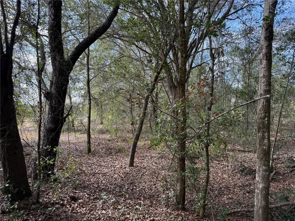 SE 92nd Court Belleview FL 34420