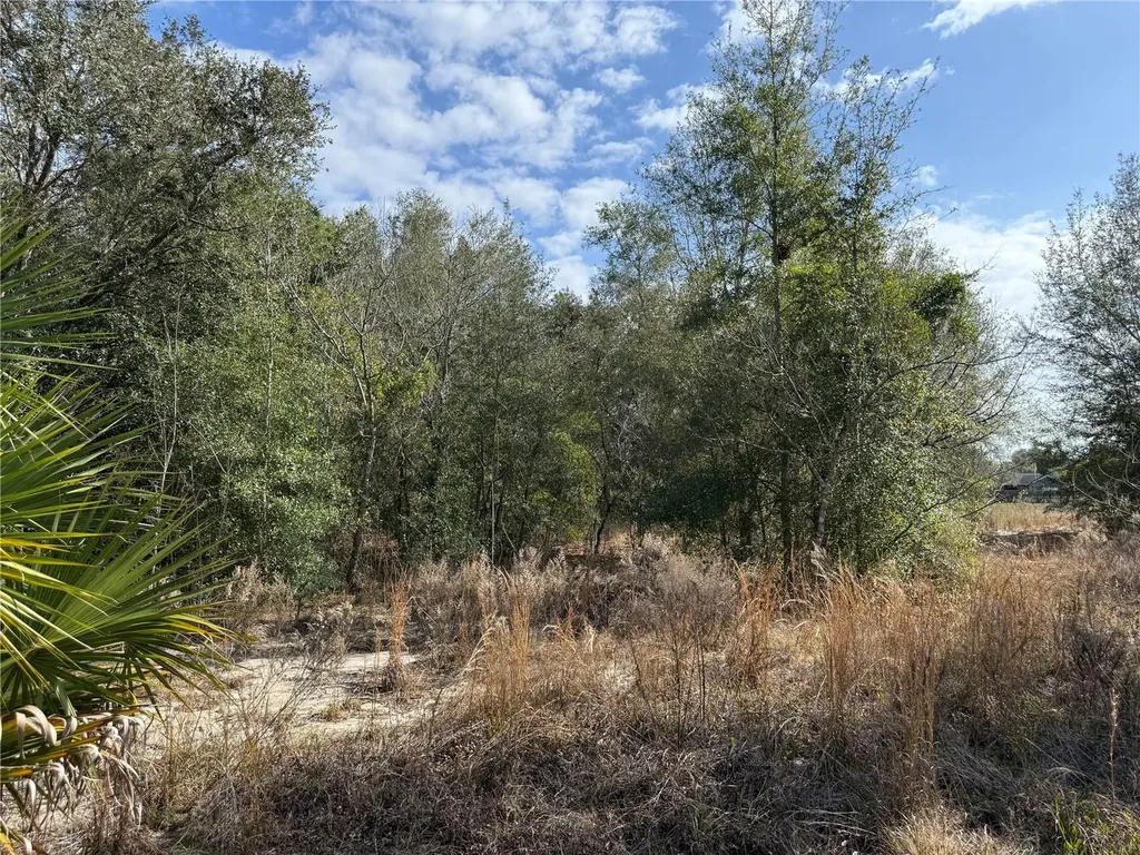 SE 92nd Court Belleview FL 34420