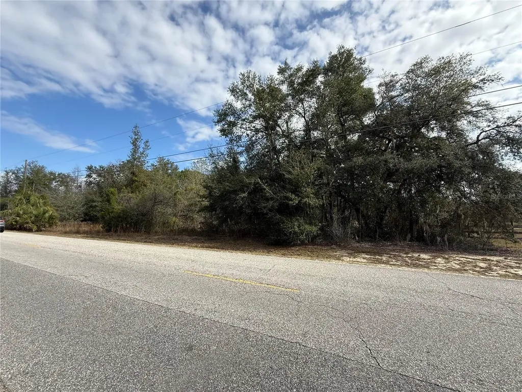 SE 92nd Court Belleview FL 34420
