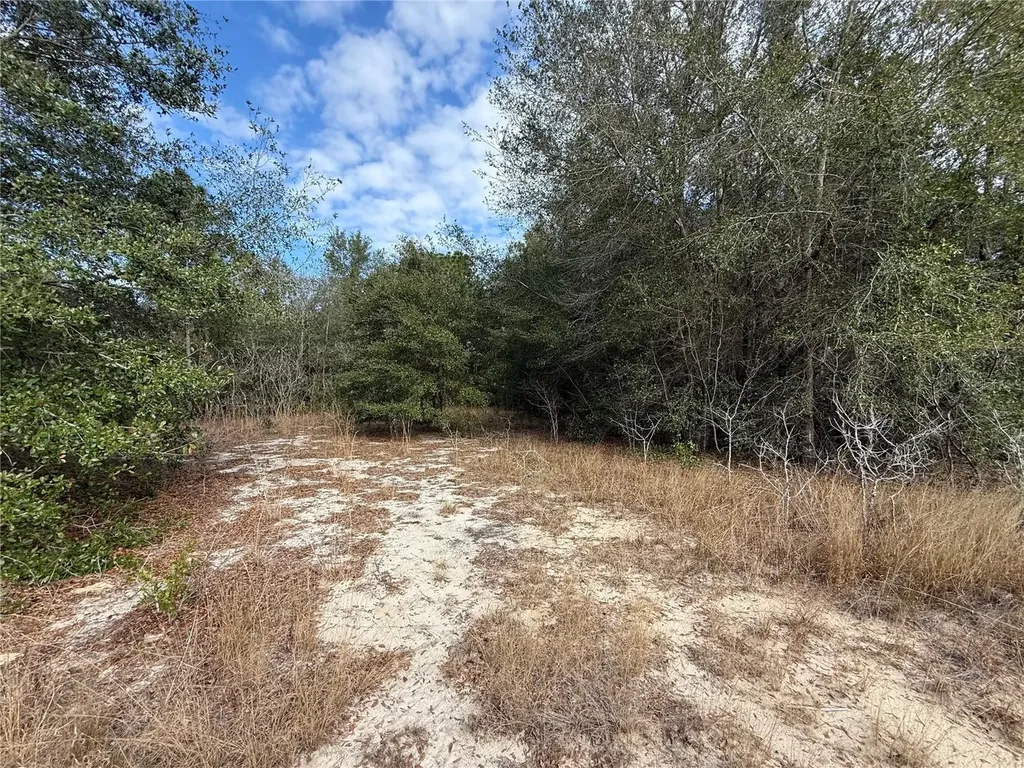 SE 92nd Court Belleview FL 34420