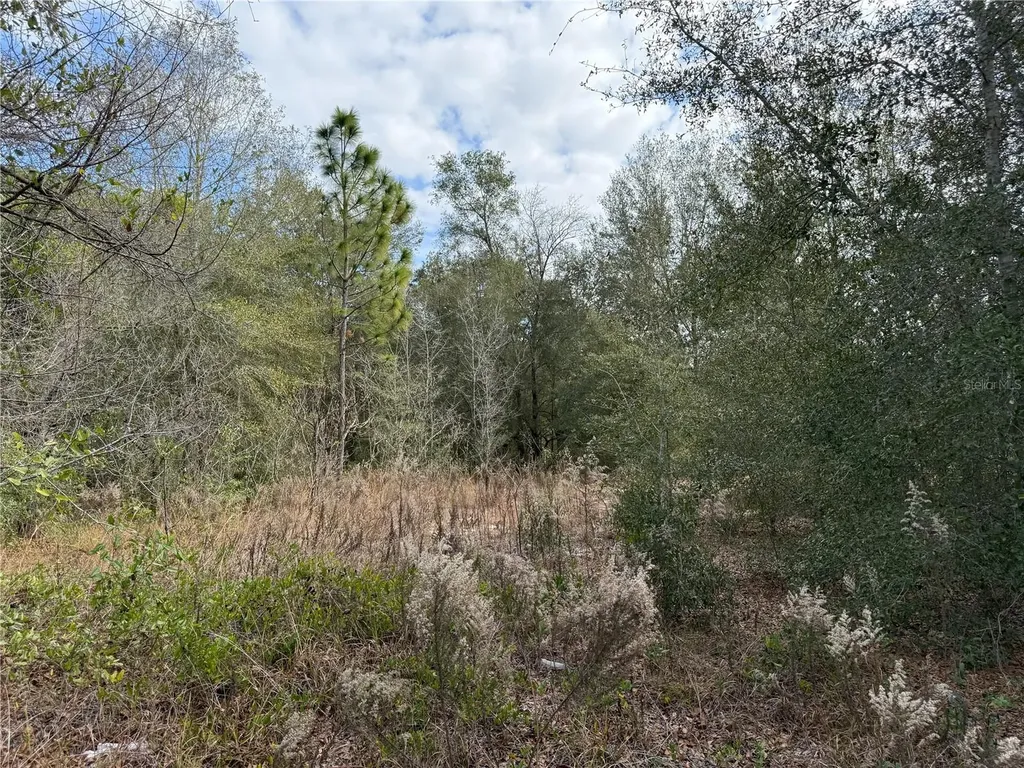 SE 92nd Court Belleview FL 34420
