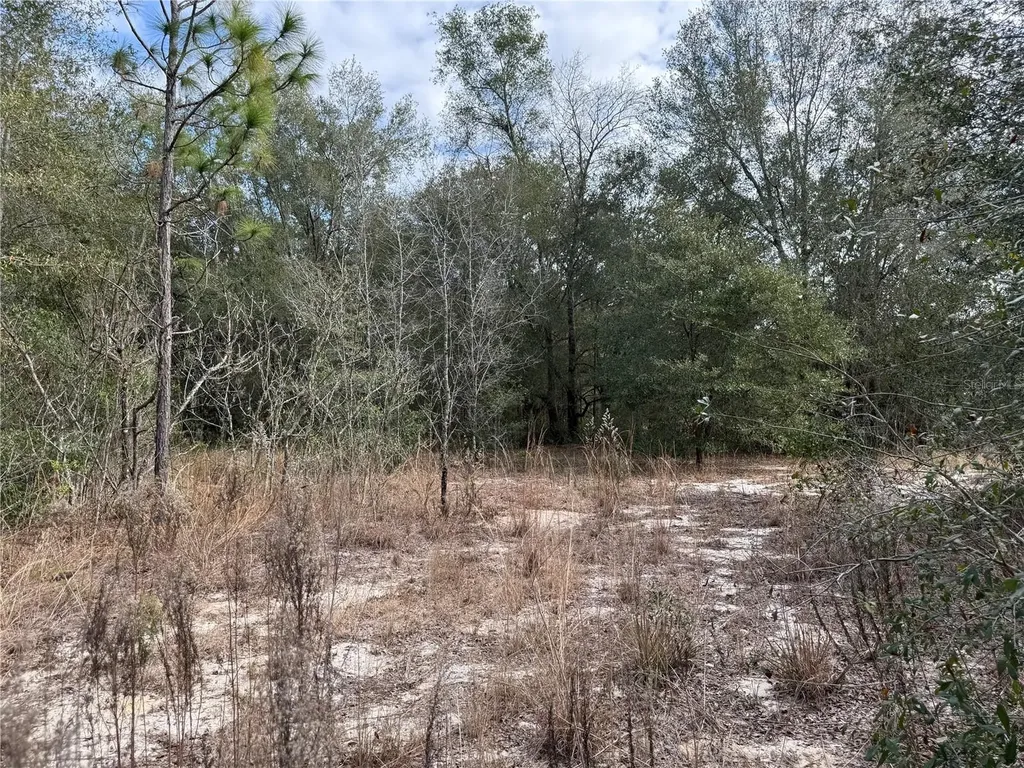 SE 92nd Court Belleview FL 34420
