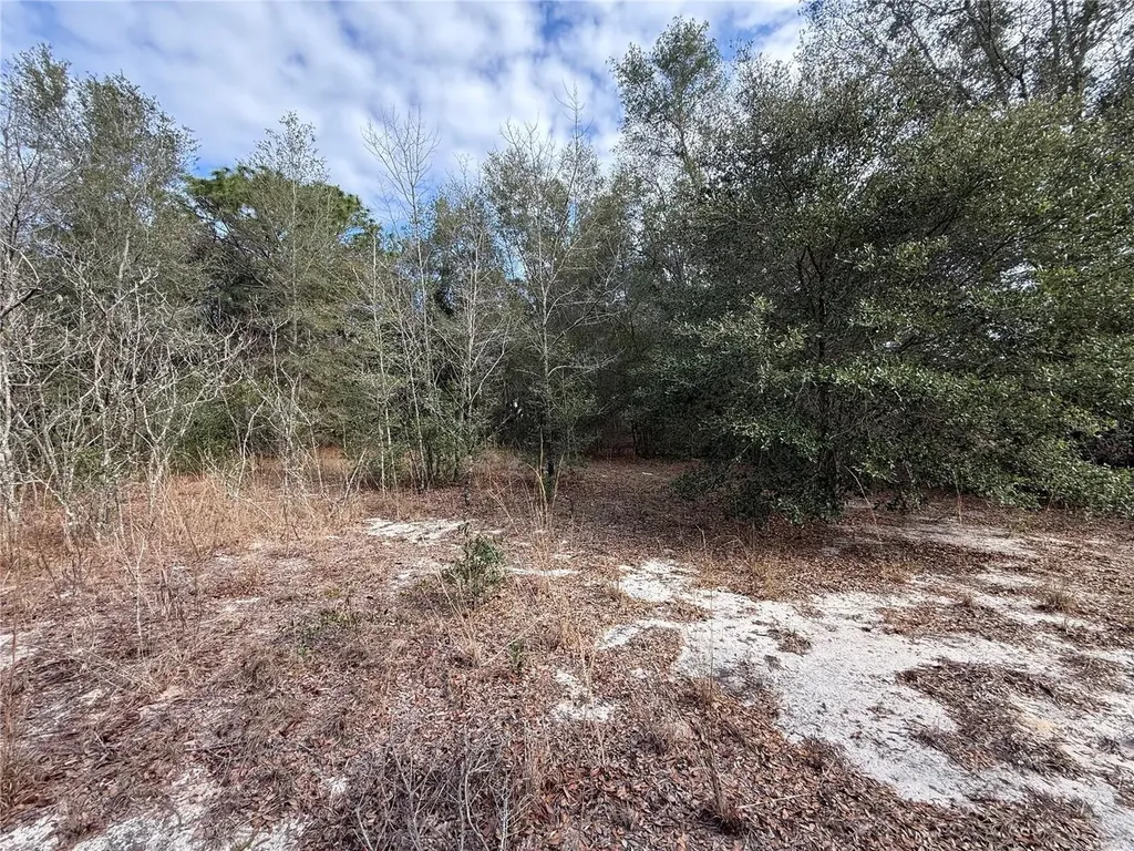 SE 92nd Court Belleview FL 34420