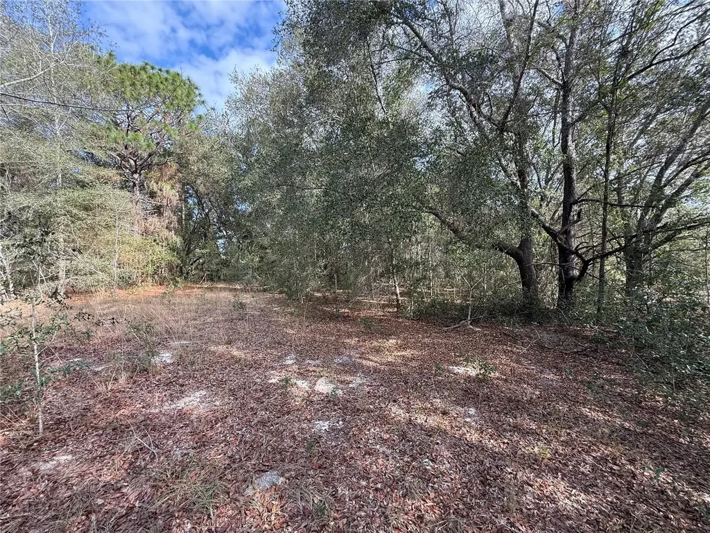SE 92nd Court Belleview FL 34420