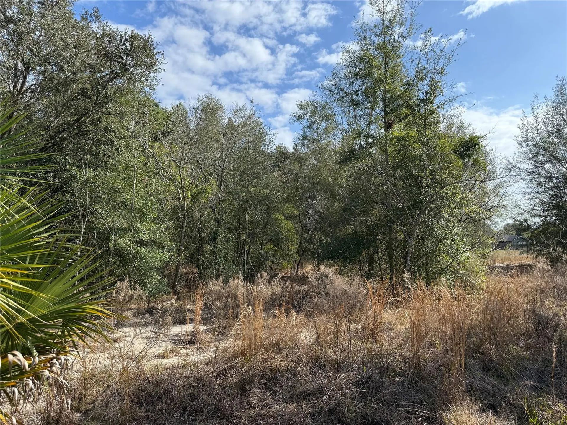 SE 92nd Court Belleview FL 34420