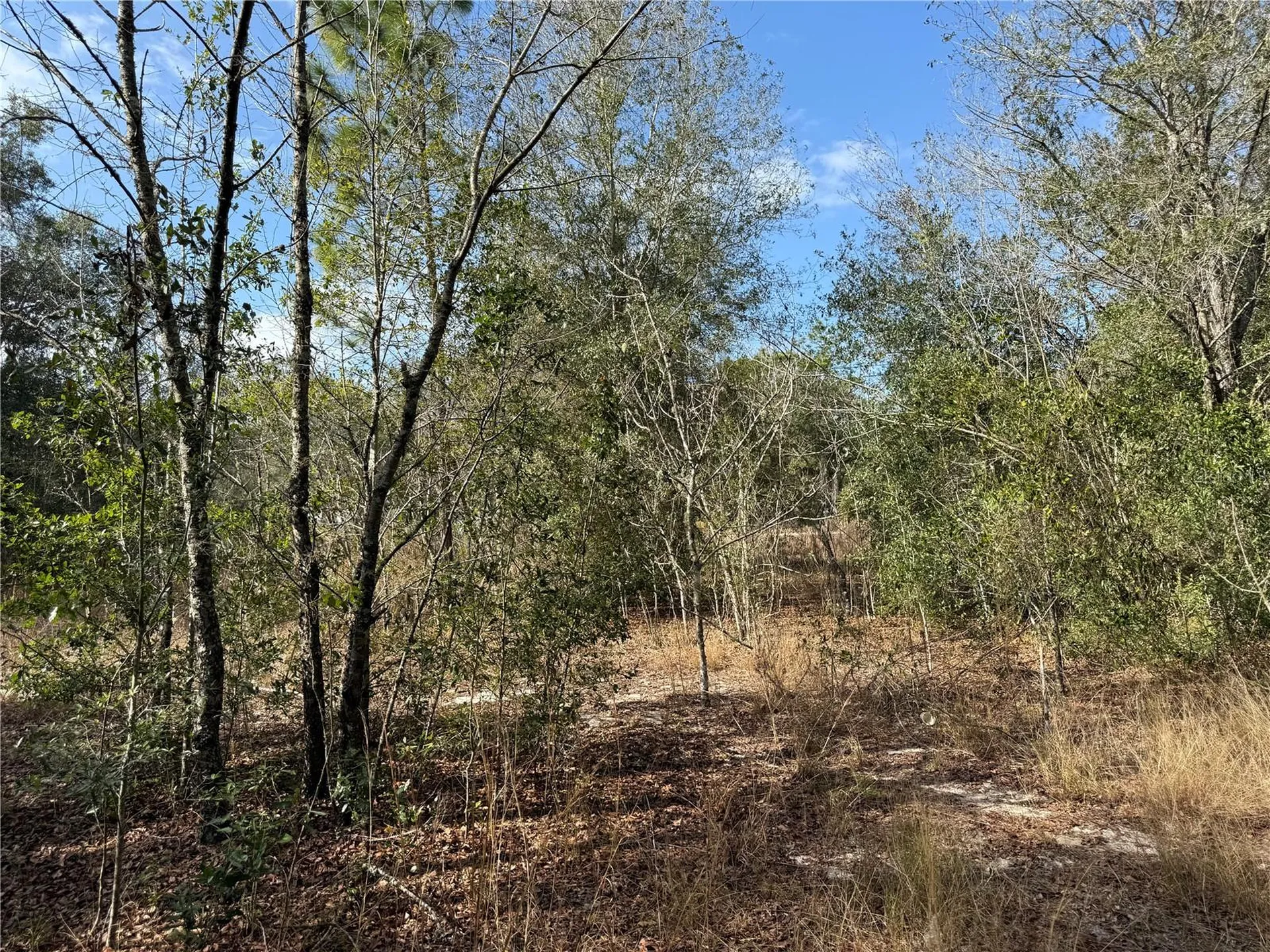 SE 92nd Court Belleview FL 34420