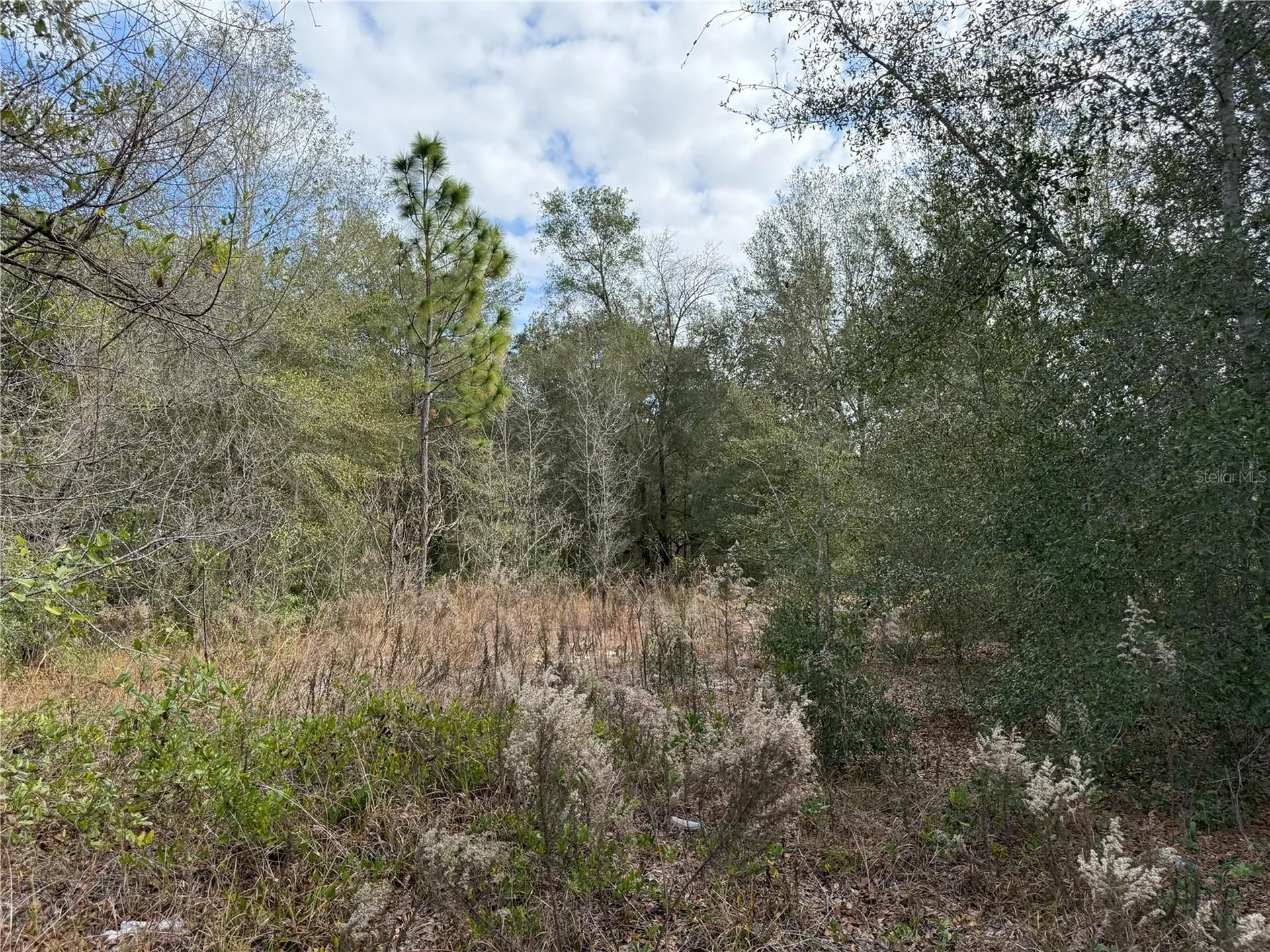 SE 92nd Court Belleview FL 34420