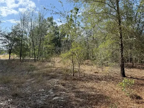 SE 92nd Court Belleview FL 34420
