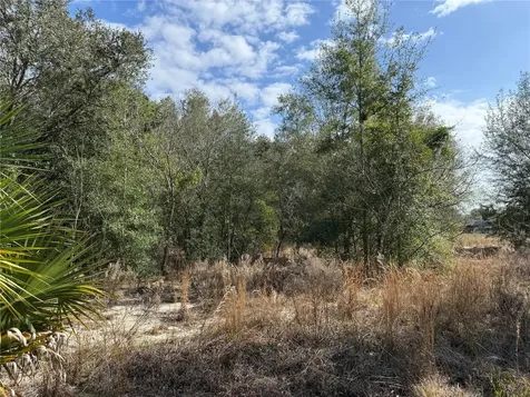 SE 92nd Court Belleview FL 34420