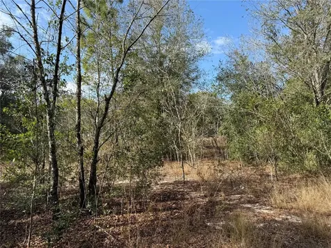 SE 92nd Court Belleview FL 34420