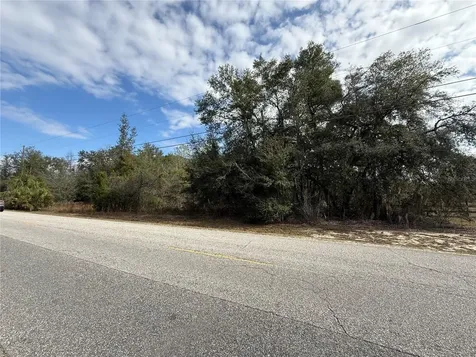 SE 92nd Court Belleview FL 34420