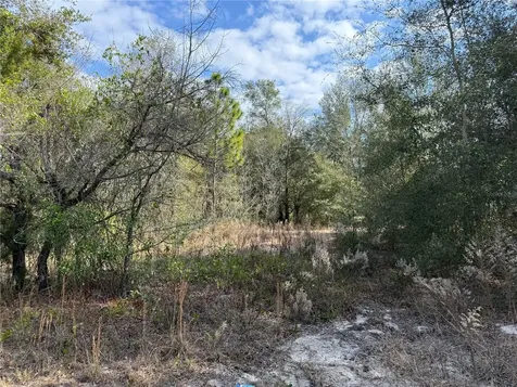 SE 92nd Court Belleview FL 34420