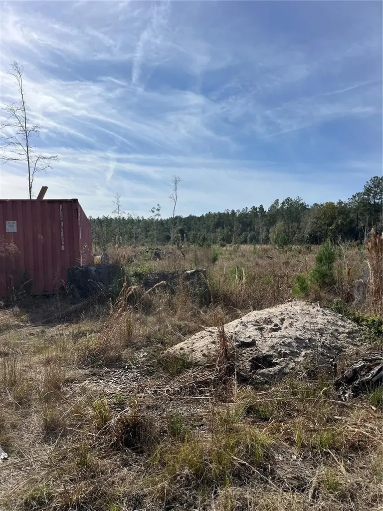 137TH Place NE Citra FL 32113