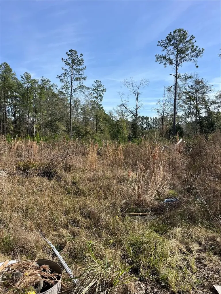 137TH Place NE Citra FL 32113