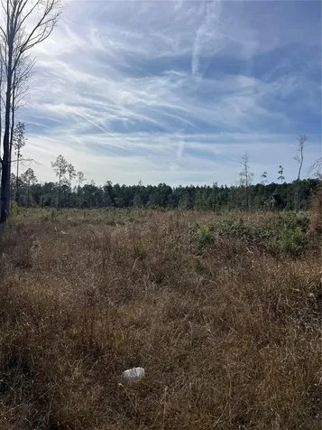 137TH Place NE Citra FL 32113