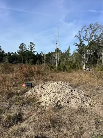 137TH Place NE Citra FL 32113