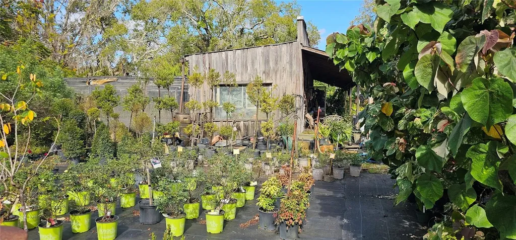 9906 Gunn Highway Odessa FL 33556