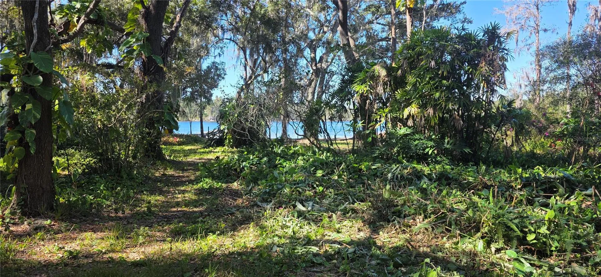 9906 Gunn Highway Odessa FL 33556