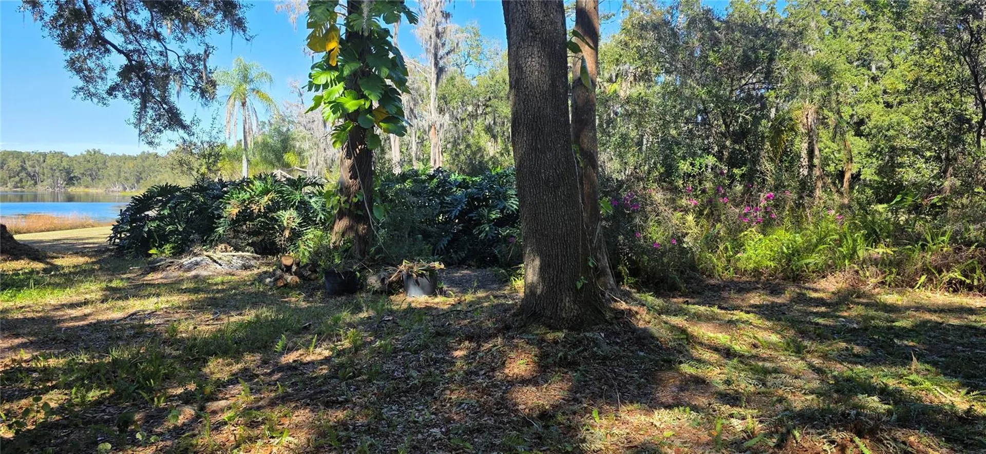 9906 Gunn Highway Odessa FL 33556