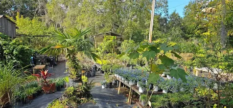 9906 Gunn Highway Odessa FL 33556