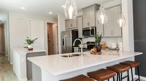 32472 Sea Loch Loop Mount Dora FL 32757