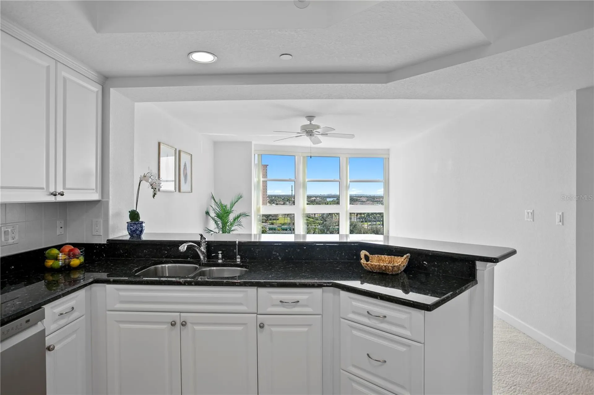 4971 Bacopa Lane S St Petersburg FL 33715