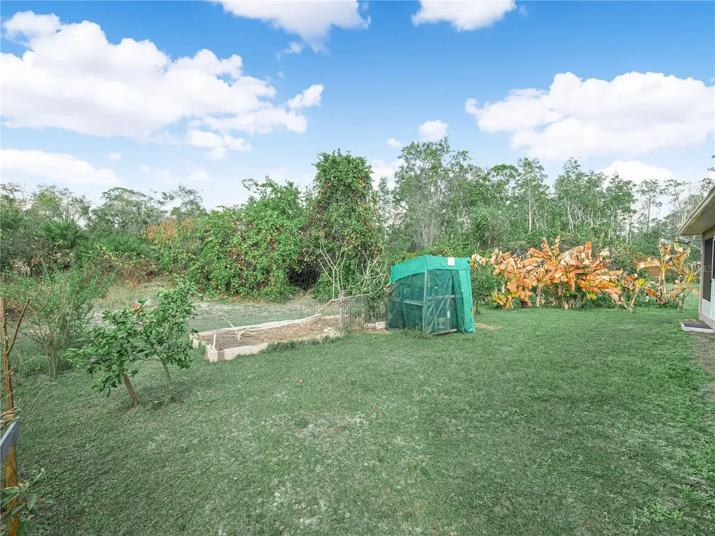 739 Fraser Court Kissimmee FL 34759