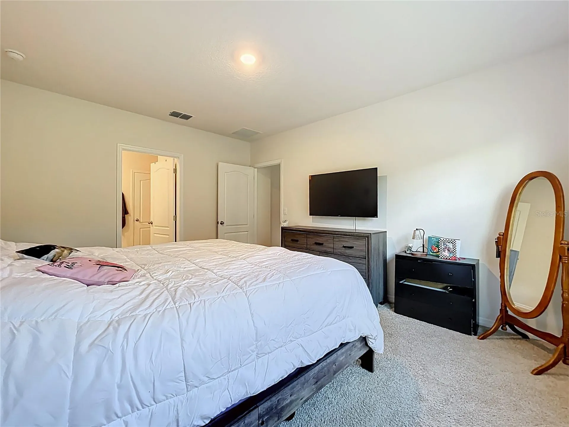 2928 Canary Lane Tavares FL 32778