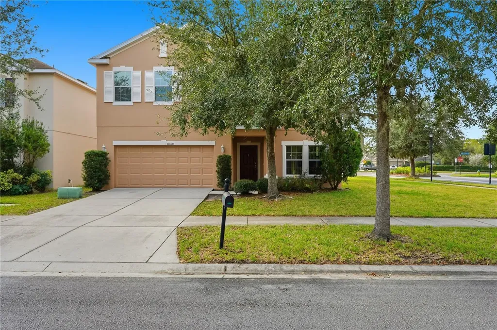 20203 Autumn Fern Avenue Tampa FL 33647