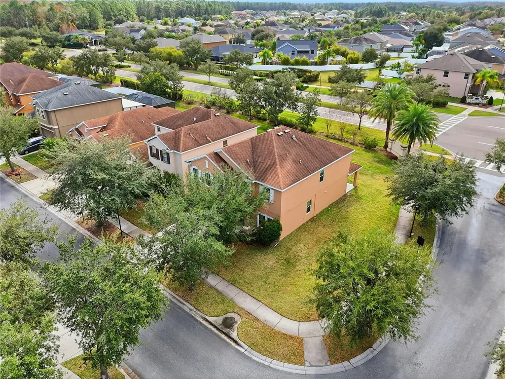 20203 Autumn Fern Avenue Tampa FL 33647