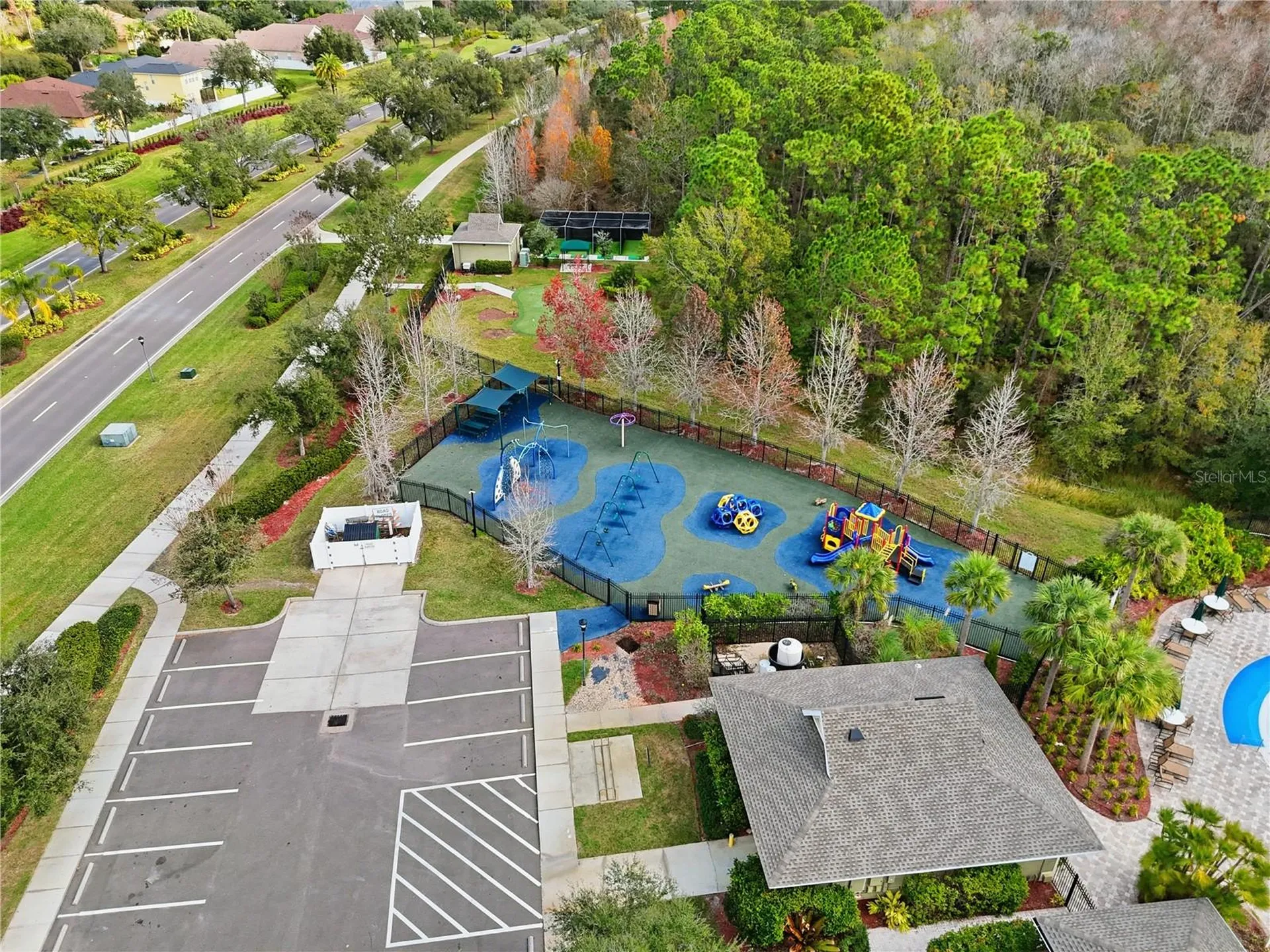20203 Autumn Fern Avenue Tampa FL 33647