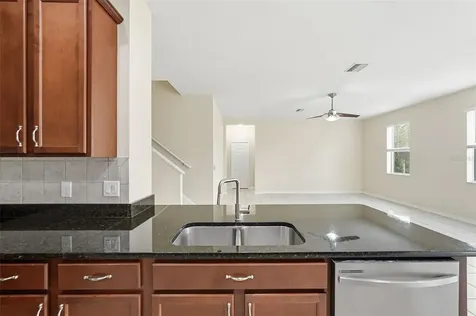 20203 Autumn Fern Avenue Tampa FL 33647