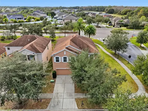 20203 Autumn Fern Avenue Tampa FL 33647