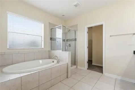 20203 Autumn Fern Avenue Tampa FL 33647