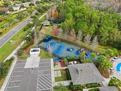 20203 Autumn Fern Avenue Tampa FL 33647