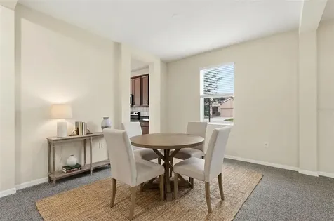20203 Autumn Fern Avenue Tampa FL 33647