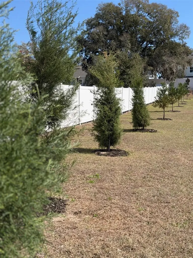 5092 NE 81st Boulevard Wildwood FL 34785